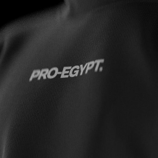 PRO-EGYPT Basic