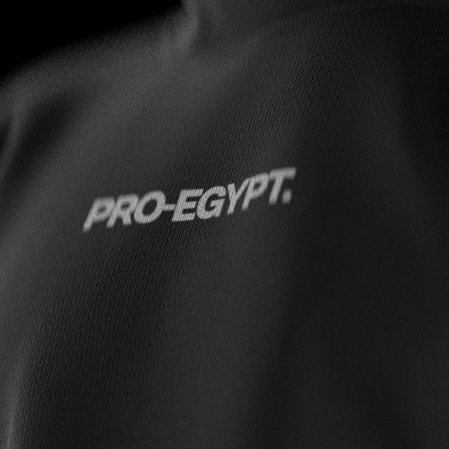 PRO-EGYPT Basic